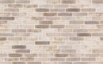 Клинкерный кирпич Petersen Tegl Bricks D72 Weissgrau, DNF 228x108x54 мм — изображение 2